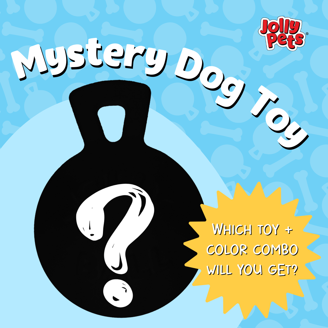 MysteryDogToyPDP_1_-min.png